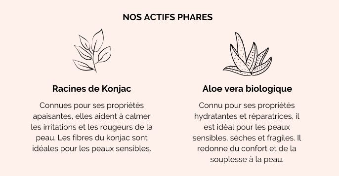 Actifs Eponge Konjac Bébé Acorelle 